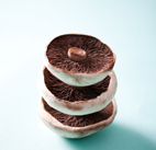food photography portobello mushroom by luke cannon photography